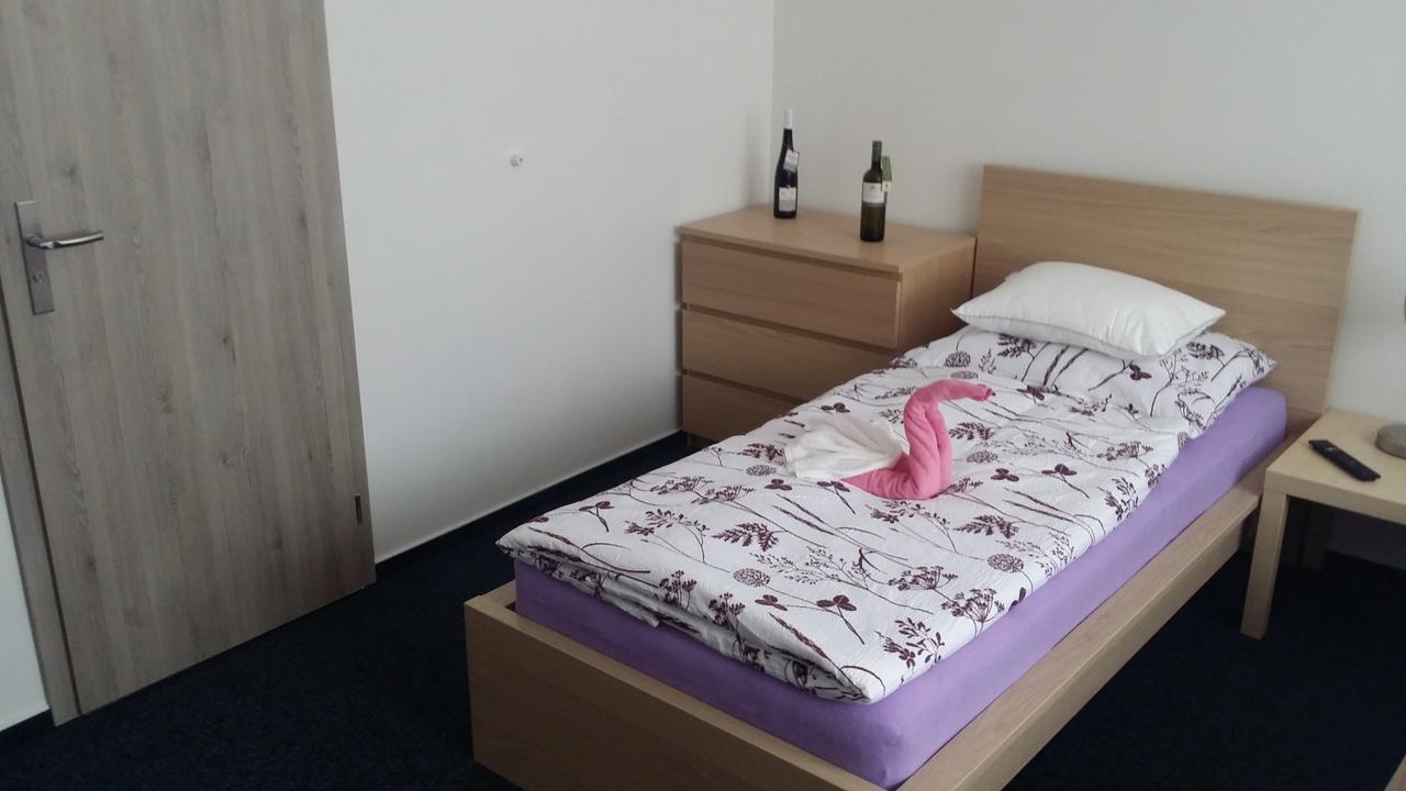 Ubytovani Nemcicky Kültér fotó