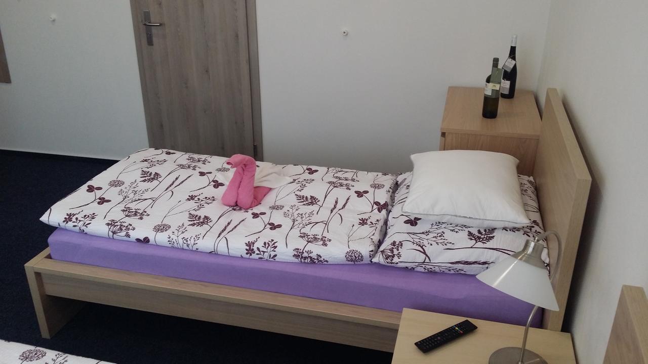 Ubytovani Nemcicky Kültér fotó